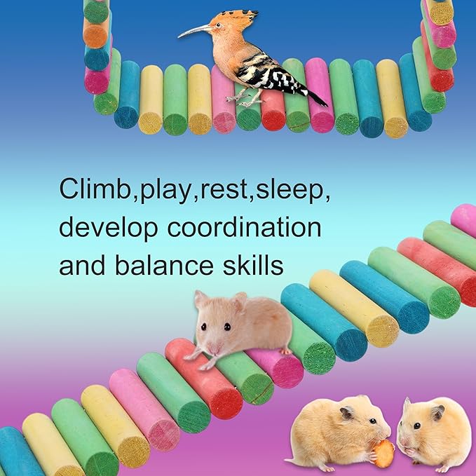 Hamster Bridge, Flexible Bendy Climbing Ladder, Hanging Wooden Hamster Stairs for Small Animals, 15.75" L x 3.15" W, Rainbow Color