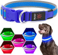 Flashseen LED Dog Collar, Light Up Dog Collar USB Rechargeable, Brightest Dog Lights for Night Walking, Adjustable Dog Collar Light for Dog Safety (Blue, Medium)