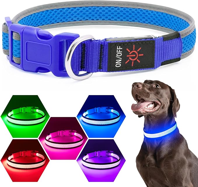 Flashseen LED Dog Collar, Light Up Dog Collar USB Rechargeable, Brightest Dog Lights for Night Walking, Adjustable Dog Collar Light for Dog Safety (Blue, Medium)