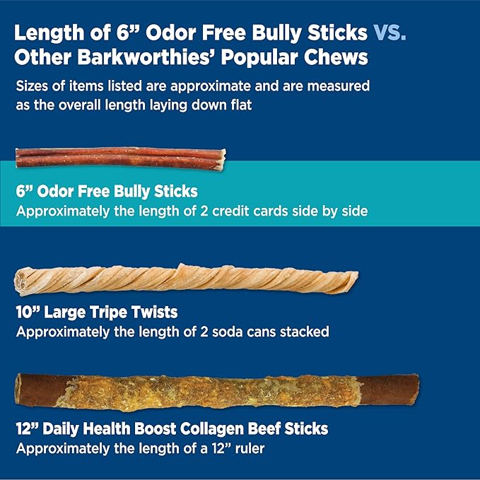 Barkworthies Odor-Free 6 Inch Bully Sticks - 5 Count (Pack of 1) - Protein-Packed, Easily Digestible, All-Natural Rawhide Alternative, Promotes Dental Health