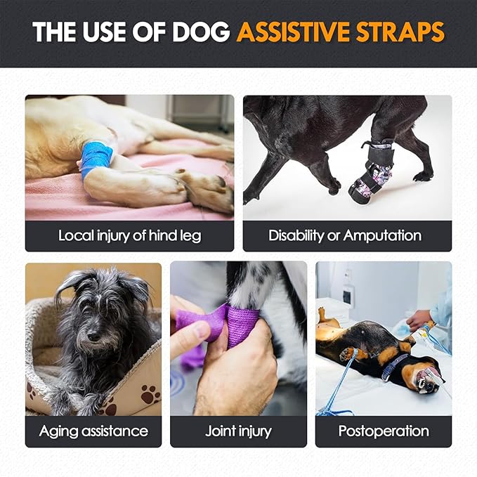 Dog Lift Harness |Harness for Large Dogs, Adjustable Hind Leg Support Sling for Elderly Injured Arthritic Disabled Dogs, Mobility & Rehabilitation Aid(S)