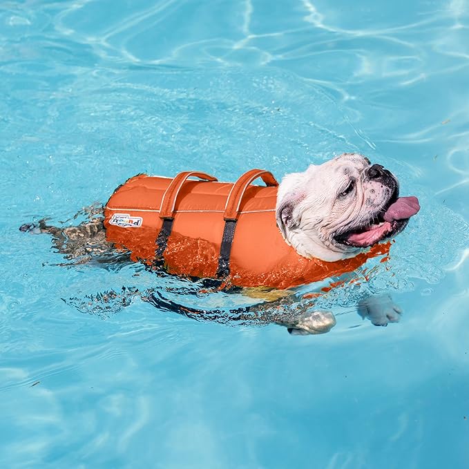 Outward Hound Granby Splash Orange Dog Life Jacket, XL