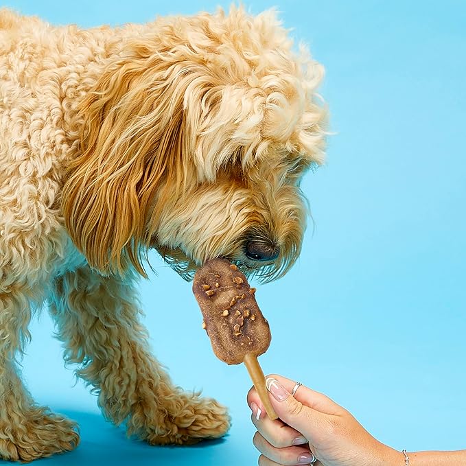 SPOT Pup Ice Dog Treats – Freeze-at-Home Edible Chews for Medium Breed Dogs & Puppies, Safe Peanut & Carob Flavor (No Chocolate), 2ct Rocket Lollies with Real Chicken