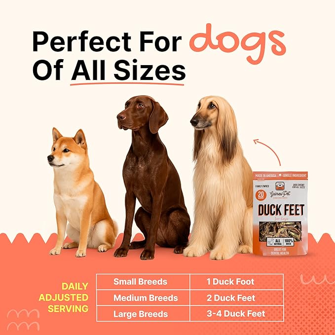 Gaines Pet Duck Feet for Dogs – 20 Count, Natural Chews with Glucosamine, Chondroitin & Collagen – Single Ingredient Dog Treats, Grain-Free, USA Made, Joint & Dental Health Support