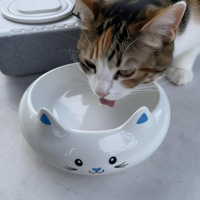 Cat Food Bowl, Ceramic Cat Bowls, Cute Kitten Water Bowl with 7.1oz Capacity, Slanted Kitten Feeding Dish 6.5 inch, Whisker Fatigue Friendly, Adorable and Multi-Use Home Decor