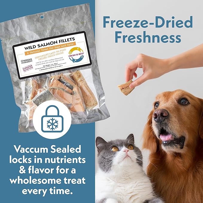 Fresh Is Best Salmon Fillets Freeze Dried Dog Treats – Raw Freeze Dried Fish for Cats & Canines in Resealable Zipper Bag – High-Protein Salmon Dog Treats – Made in The USA