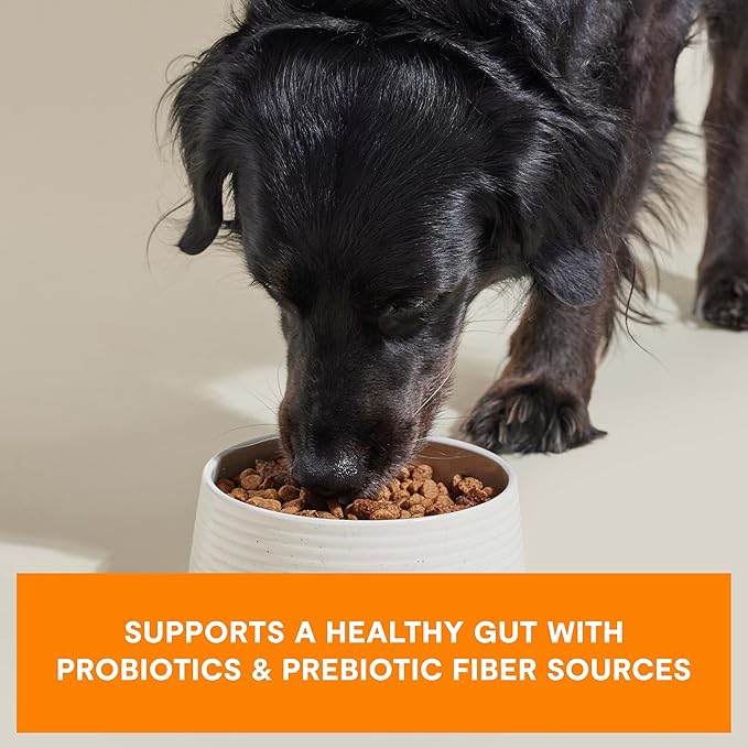 Open Farm, Epic Blend High Protein Dry Dog Food, Probiotic Coated & Bone Broth Infused Kibble with Air Dried Meat & Organs, Minimally Processed & Nutrient Dense, Chicken & Superfood Recipe, 3.5lb Bag
