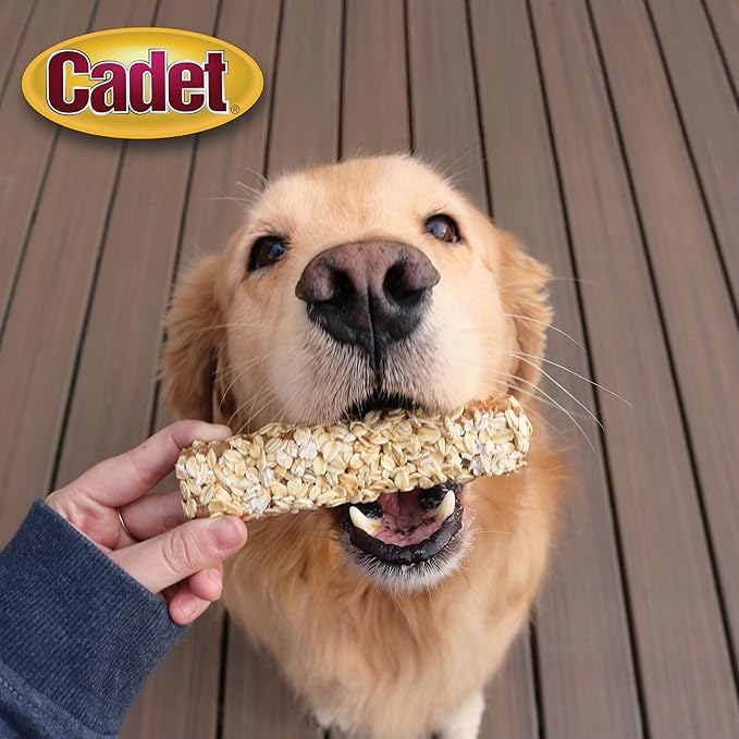 Cadet Chewalicious Layered 'N Dipped with Oats, Rawhide-Free Dog Chews, Limited-Ingredient & Long-Lasting Chew Treats for Dogs, Made with Real Chicken, Oat Flavor, 2 Pack