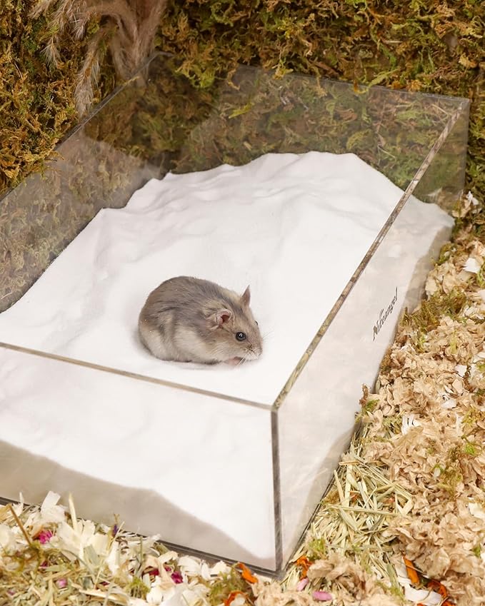 Niteangel Hamster Desert Bath Sand | No-Dust Bath or Potty Litter for Hamster Chinchillas Gerbil Mice Degu or Other Small Pets (White Sand, 2.5LB/40oz)