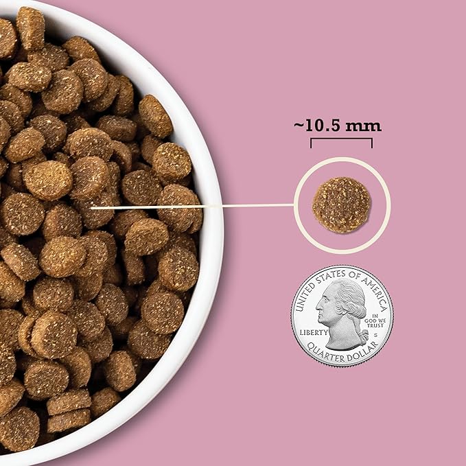 ACANA Wholesome Grains Dry Dog Food Small Breed Recipe Real Chicken Eggs and Turkey 11.5lb Bag