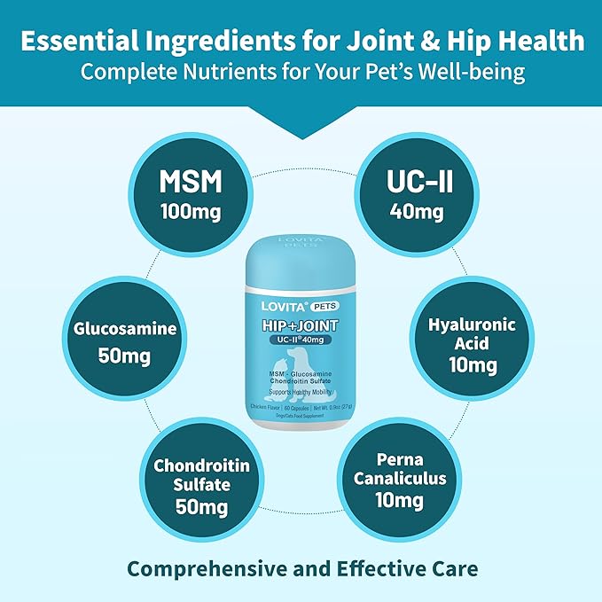 LOVITA Hip + Joint Supplement for Pets - Supports Mobility & Joint Health for Dogs & Cats - 60 Capsules, Chicken Flavor
