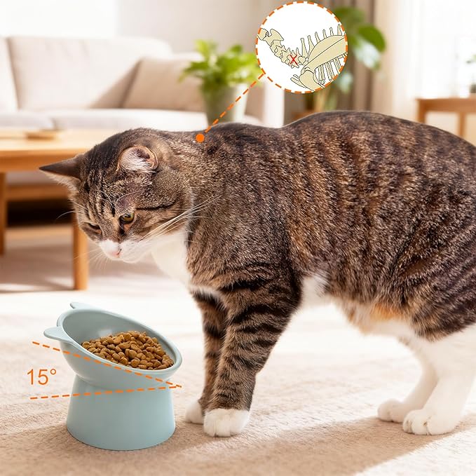 6 Pack Raised Cat Bowls for Indoor Cats, Plastic Elevated Cat Bowls Dishes, 15 Degrees Tilted Cat Food Bowls, Anti-Vomiting and Whisker Friendly, 3 Colors