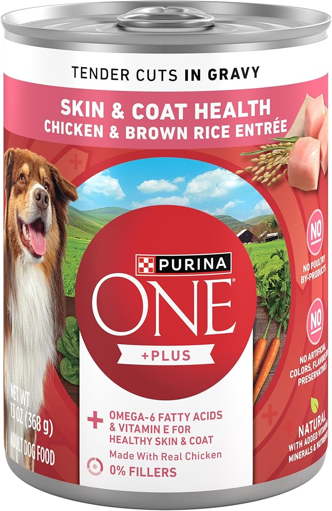 Purina ONE Tender Cuts Skin & Coat Chicken & Brown Rice Wet Dog Food - (Pack of 12) 13 oz. Cans