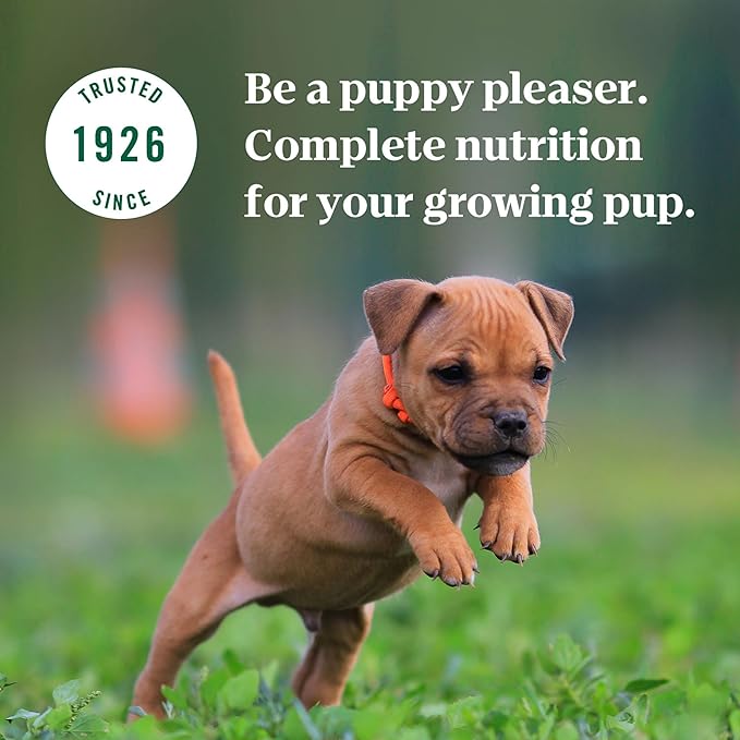Nutro Puppy Grain Free Dog Food, Natural Wet Dog Food Bites in Gravy Tender Chicken, Sweet Pea & Carrot Recipe, 3.5 oz. Trays (24 Count, Pack of 1)