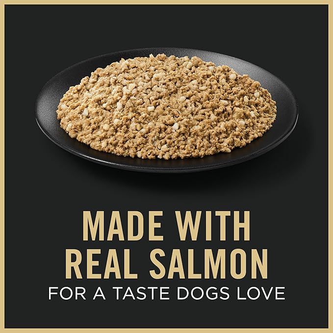 Purina Pro Plan Senior Wet Dog Food for Sensitive Stomach with Salmon and Rice Entree - 13 oz. Can (Pack of 12)