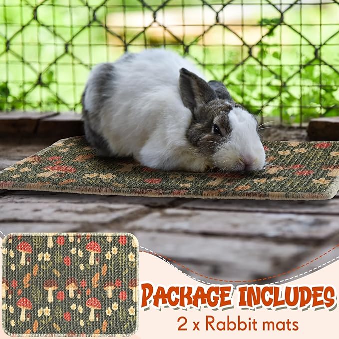Drydiet 2 Pcs 16 x 12''Rabbit Scratch Mat Natural Bunny Scratching Pad Claws and Teeth Care Rabbit Mats for Cages Chew Toys Bunny Pet Cage Bedding for Biting Sleeping Nesting
