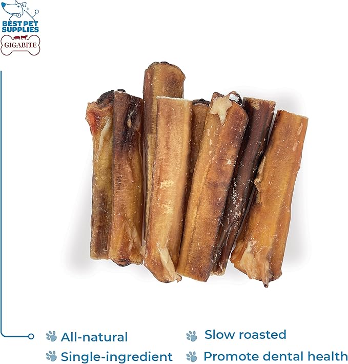 GigaBite Bully Sticks for Dogs All Natural Beef Pizzle Dog Chews, Odor & Rawhide Free Dog Treats, Long Lasting High Protein Chews Digestible Dental Dog Treat - Sticks (Monstrous 6"), Pack of 8