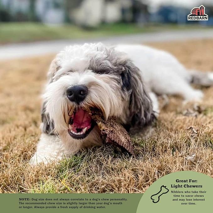 Redbarn Lamb Lung Filets - Oven Roasted Jerky-Style Dog Treats, Flavorful, Tasty & Highly Palatable Chews, Single Ingredient Protein – 10 oz, 1 Bag