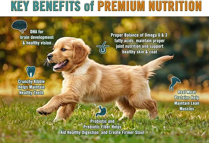 Chicken Soup for The Soul All Natural Premium Dry Puppy Food, Real Meat First Ingredient, No by-Products, Supports Brain Development & Strong Bones & Teeth, Chicken, Turkey & Brown Rice, 28lb