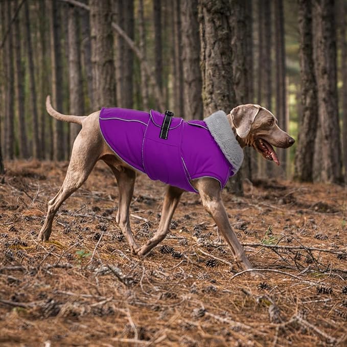 Lelepet Warm Dog Winter Coats for Large Dogs Waterproof Dog Jacket Reflective Pet Fleece Vest Windproof Cold Weather Coats with Adjustable Buckle & Leash Hole, Purple, XXL