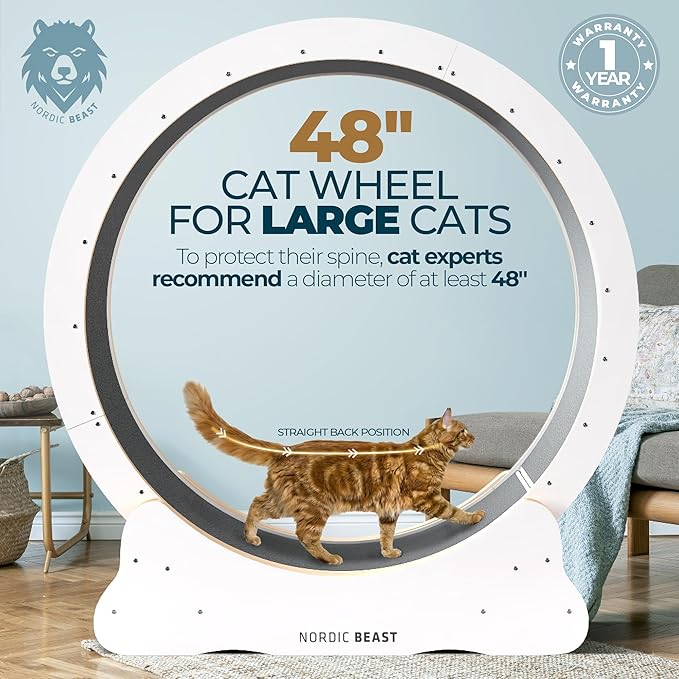 White 48'' XL Cat Wheel - Cat Wheels for Indoor Cats Which Doesn't Negatively Affect Your Cat's Spine - 15.7'' Extra Wide White Exercise Wheel - Fits 2 Cats Side-by-Side, 1-Year Warranty