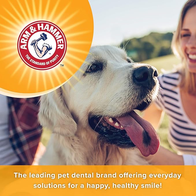 Arm & Hammer for Pets Dog Dental Breath Mints with Baking Soda, Chicken Flavor Dental Treats to Help Freshen Dog Breath and Support Oral Care, Fresh Mint Scent, 1.7 Oz