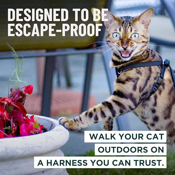 Houdini™ Escape Proof Cat Harness and Leash Set by OutdoorBengal – Orange, Medium Cat Harness for Walking