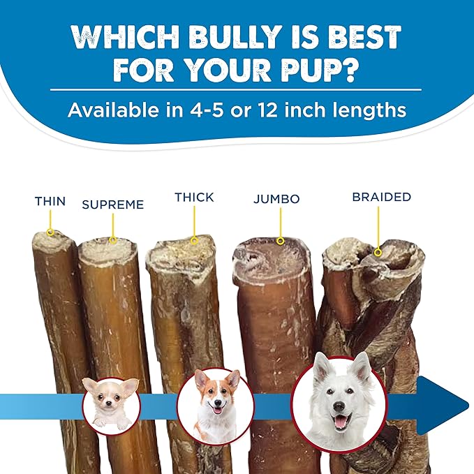 Best Bully Sticks Natural XL Braided Bully Sticks for Large Dogs - 12 Inch, 4 Count (Pack of 1) - 100% Free-Range Grass-Fed Beef, Single-Ingredient, Grain and Rawhide Free Long Lasting Dog Chews