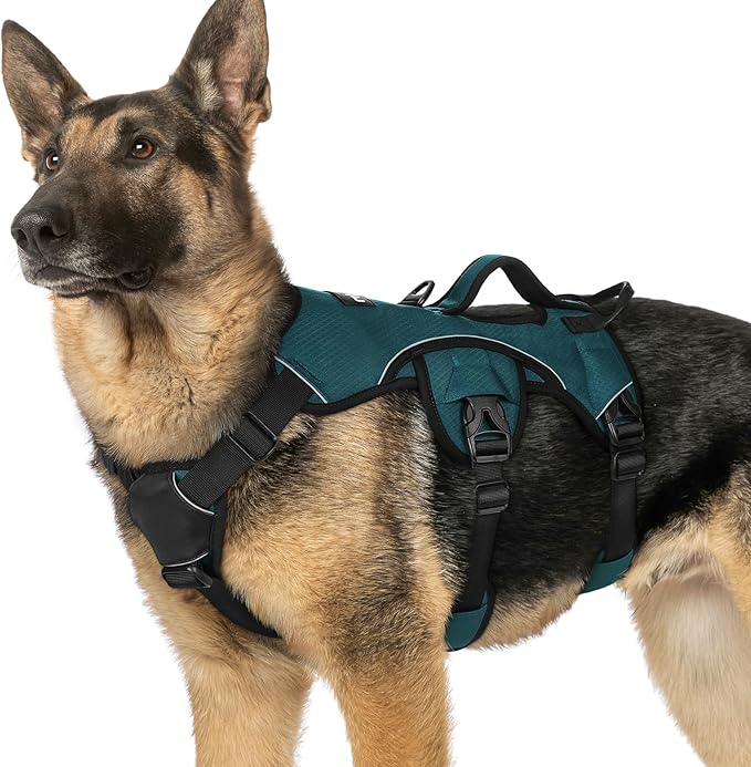 rabbitgoo Escape Proof Dog Harness, Soft Padded Full Body Pet Harness, Reflective Adjustable No Pull Vest with Lift Handle and Leash Clip for Large Dogs Walking Hiking Training, Dark Green, XL