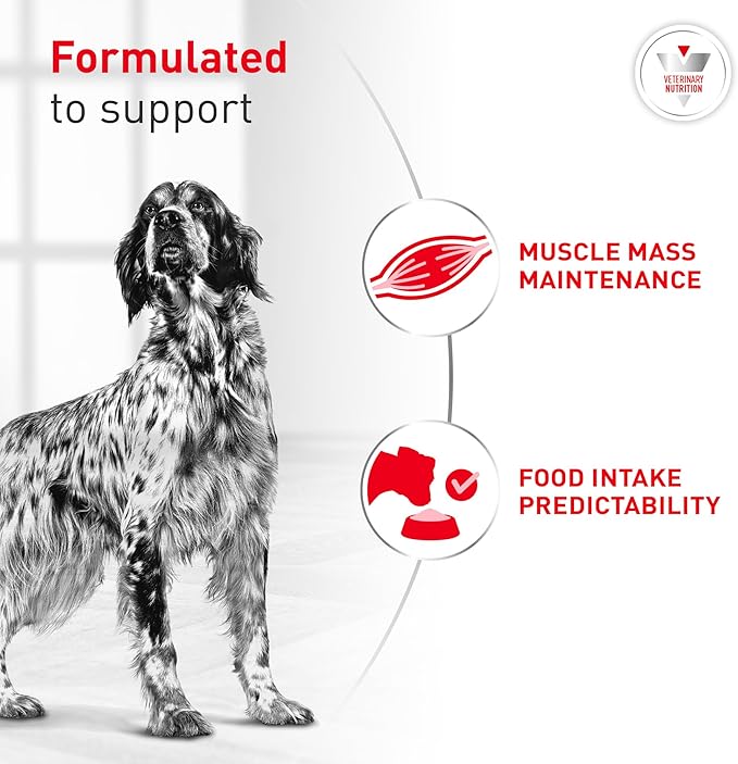 Royal Canin Veterinary Diet Canine Glycobalance Adult Loaf in Sauce Dog Food, 13.4 oz (Pack of 12)