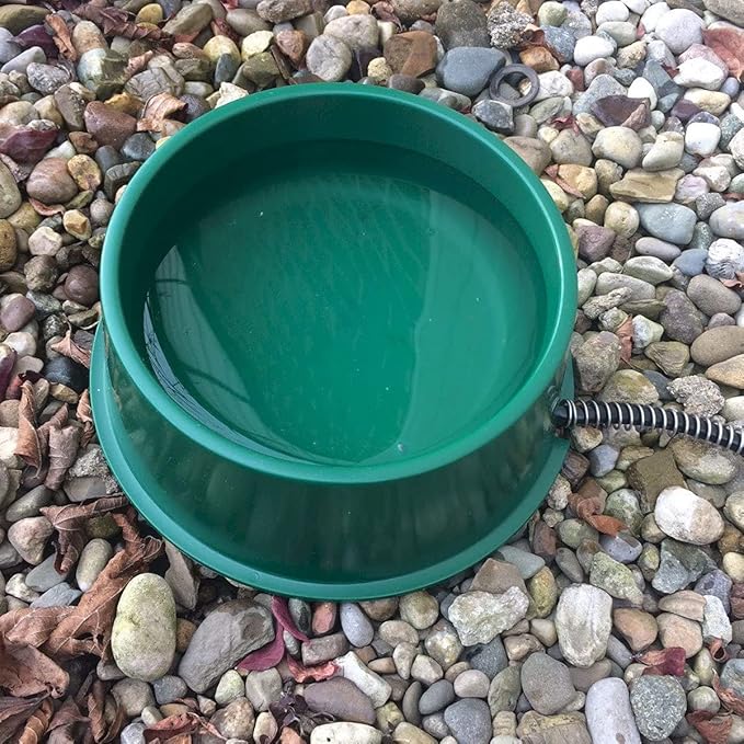Farm Innovators 1 Quart 25 Watt Powered Heated Electric Water Bowl with Thermostatic Control and Anti Chew Cord Protector for Pets, Green