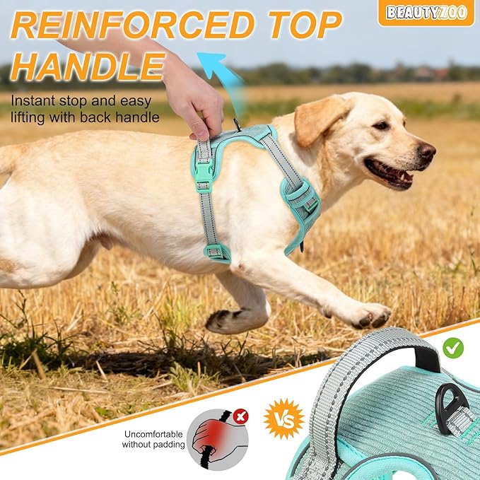 BEAUTYZOO No Pull Dog Harness, Adjustable Dog Harness and Leash Set -Easy Wearing with 3 Buckles/Control Handle,No Choke Soft Padded Reflective Pet Vest for Training Walking Hiking,Solid Aqua Blue S