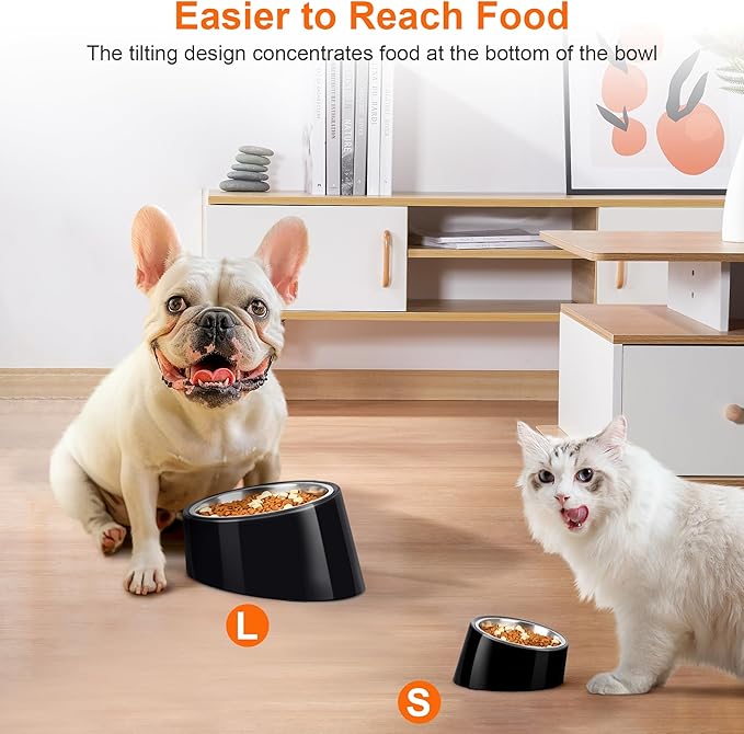 Tilted Dog Bowl Non-Slip & Non-Spill Pet Feeder with Elevated Detachable Melamine Stand, Easy to Get Food Dog Dish, S/100ml Black