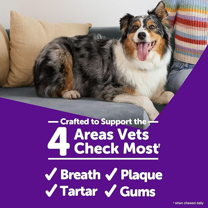Whimzees Wellness Brushzees Dog Dental Treats, Medium Size Stick, (12 Count)