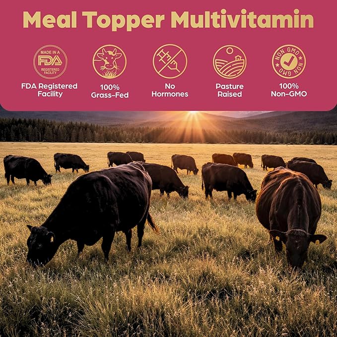 Beef Organ Bone Broth Meal Topper for Dogs - 100% Grass Fed, Veterinarian Approved, Non-GMO by Brothhh - Supports Immunity, Joint & Heart Health, Vision & Vitality - No Fillers - Pet Supplement