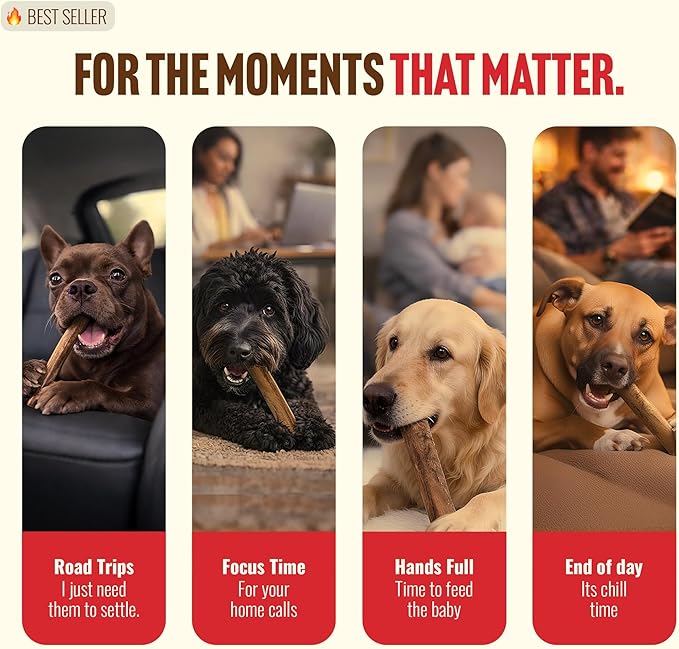 Natural Farm Cold-Dried™ Bully Sticks 6 Inch (10 Count) – Odor Free Longer Lasting High Protein Dog Chews – 100% Beef Pizzle, Single Ingredient, Durable for Aggressive Chewers