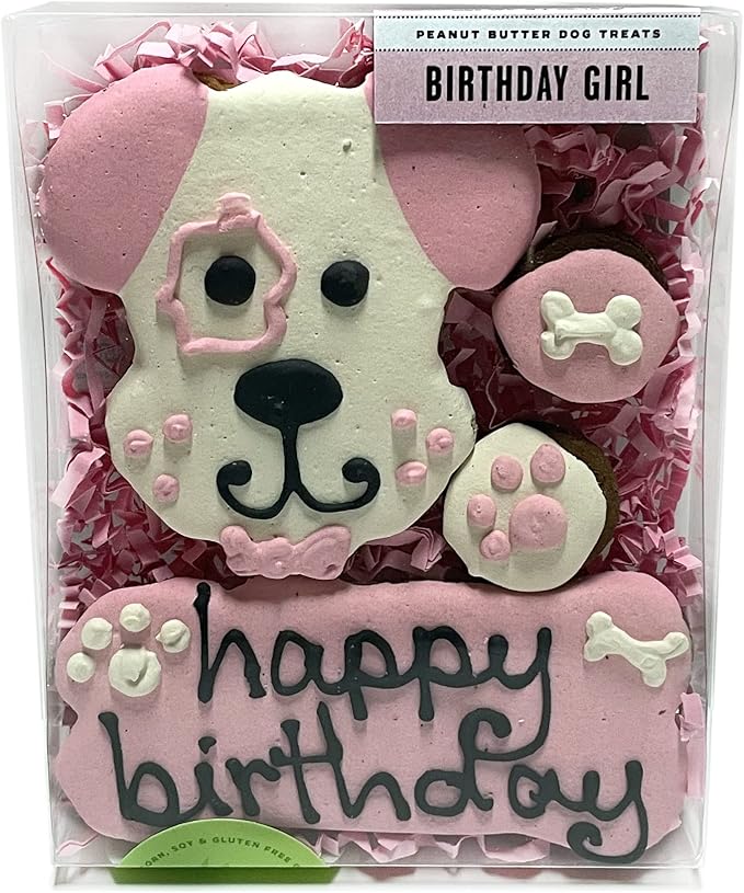 Bubba Rose Biscuit Company: Decorated Birthday Girl Pink Dog Treats - Crunchy Biscuit Texture - Natural Gourmet Dog Cookies - Pack of 4 Cookies - Made in The USA