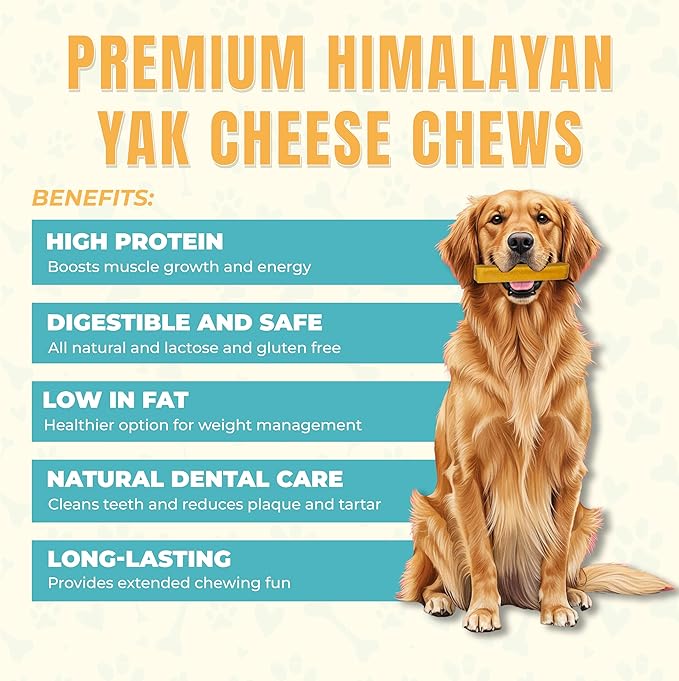 Himalayan Yak Cheese Dog Chews for Small Dogs (15–25 lbs) – Extra Thick & Dense Long-Lasting Hard Chew for Aggressive Chewers – Natural, Protein-Rich & Odor-Free – 6 Small Bars (1.2 oz Each)