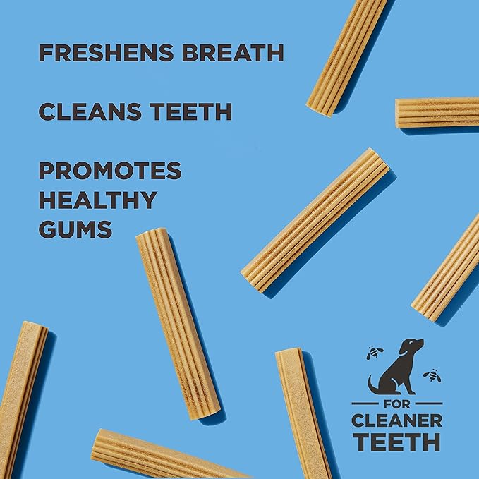 Dental Chew Sticks for Dogs 2-Pack, 7 oz Each – Large (M/L) – Textured Dental Treats, Fit Hive Toys – Vegetarian, Made with Ground Peanuts & Honey, No Grain or Soy, Cleans Teeth & Freshens Breath