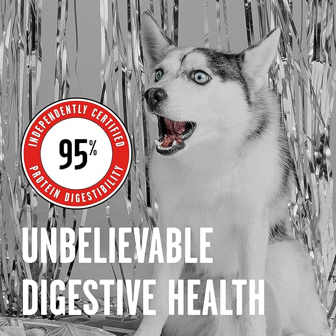 BIXBI Liberty Freeze-Dried Dog Food Topper & Treats, Beef – 98% Meat & Organs, No Refrigeration – USA Made, 26 oz
