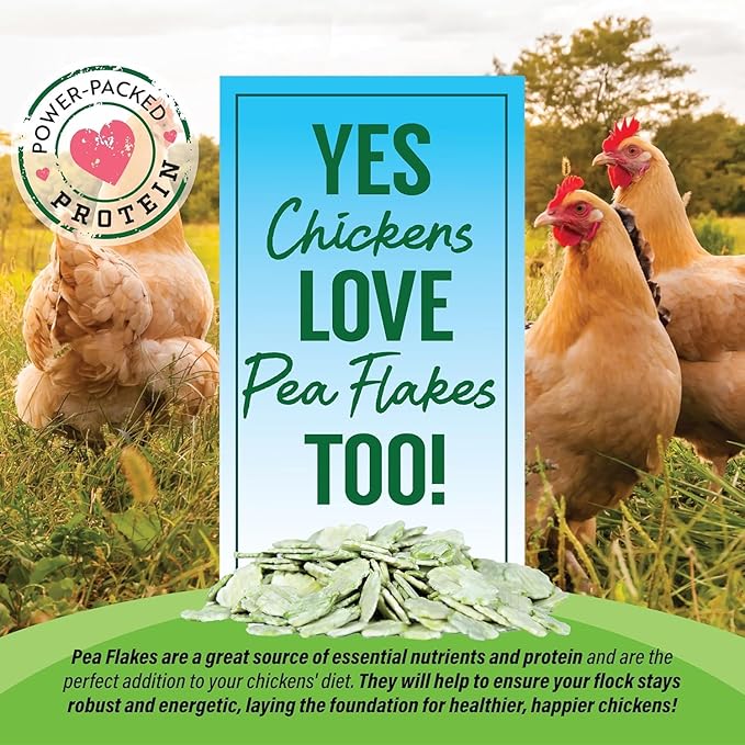 Small Pet Select - Pea Flakes, Treats for Rabbit Bunny, Guinea Pig, Chickens, Bunny, Hamster, and Other Small Pets, 3 lb (Three Pack, 1lb)