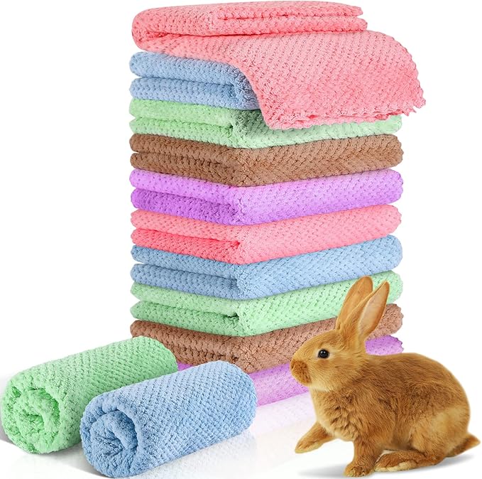 Reginary 10 Pcs Guinea Pigs Blankets Hamster Fleece Cage Liners Coral Fleece Quick Dry Soft Blankets Bedding Guinea Pig Accessories for Cat(14 x 30 Inch,Colorful)
