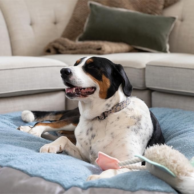 JAXX Robbi Dog Bed Bean Bag – Round Bed with Machine Washable Cover and No-Slip Base - Supportive Memory Foam for Senior Dogs & Joint Pain Relief - Ultimate Comfort & Luxury - Large, Blue/Grey