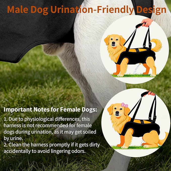 Mayerzon Dog Full Body Lift Harness, Support Sling Backpack for Senior Disabled Dogs, Front Hind Leg Joint Injuries, Help Up & Down Stairs Walk Hiking Grooming Harness, Reflective, Soft Padded Handle