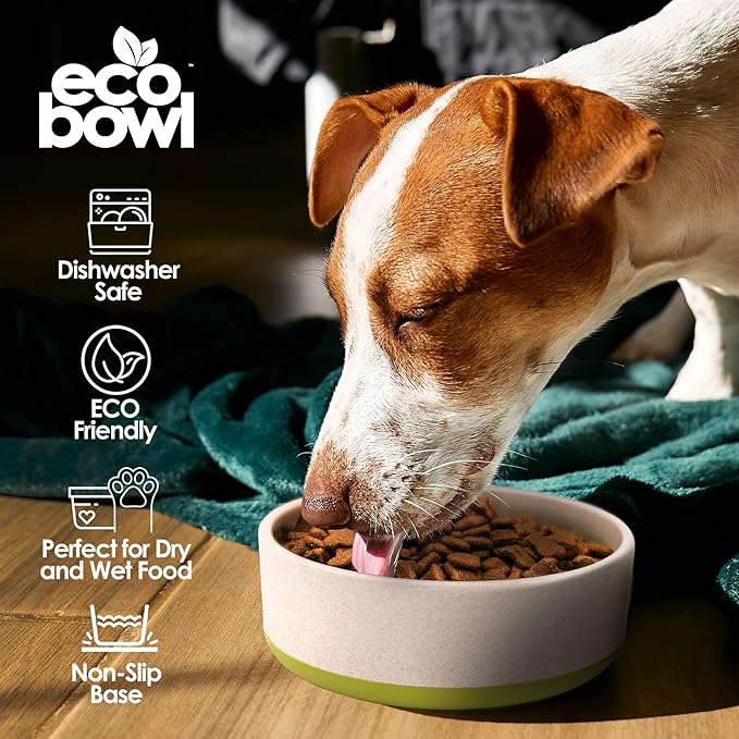 Palz&Co EcoBowl with Lid for Dogs & Cats, 80 oz Green - Natural Bamboo Pet Bowl with Non-Slip Base, Pet Food and Water Dish, Dishwasher Safe