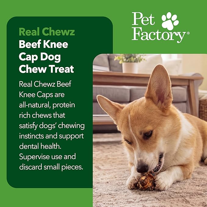 Pet Factory Real Chewz Knee Caps Dog Chew Treats, 100% All-Natural - 2 Count/2 Pack