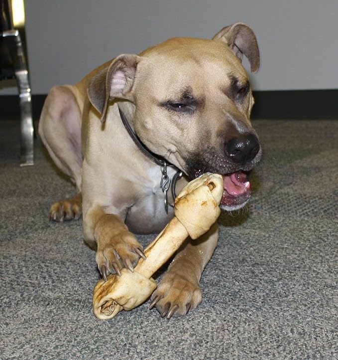 Healthy Beefhide Rawhide Dog Bones - Raw Hide Chews Dog Treats Pack of 3 Pastrami Flavored Rawhide Bones (Medium Dogs 55 LBS and Under)