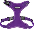 Voyager Step-in Pet Harness - All Weather Mesh, Adjustable Step in Harness for Cats and Dogs by Best Pet Supplies - Purple, M