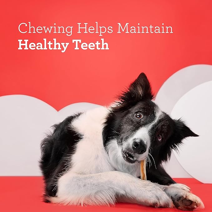 DreamBone DreamSticks Dog Chews Made with Real Sweet Potato, 10 Count (Pack of 1)