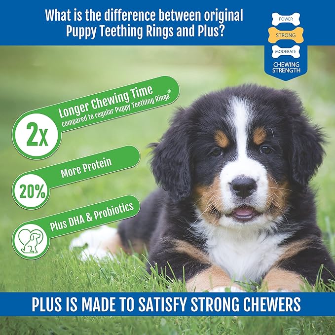 N-Bone Puppy Teething Rings Plus Chicken Flavor Dog Treat, 3 Count Bag, 3.6-oz (Pack of 2)